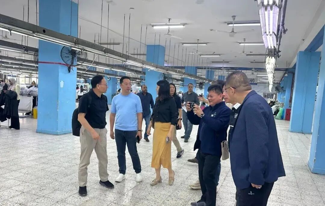 1764575817206005.jpg 2.jpg